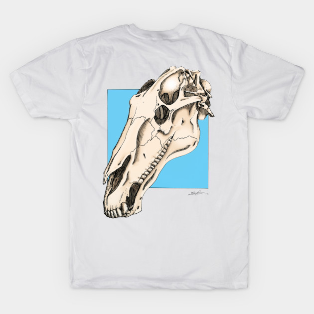 Horse Skull by FontaineN